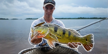 World-Class Peacock Bass Fishing