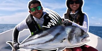 Half-Day Trips (4–5 hours)