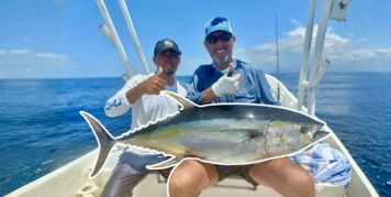 Full-Day Trips (8 hours)