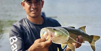 Multi-Day Packages (2–5 days)